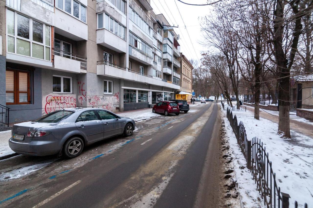 Alfa Apartments Franko University 利沃夫 外观 照片